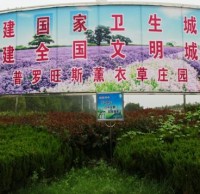 參與生活垃圾91蝌蚪九色 創建文明襄陽