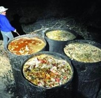 生（shēng）活垃圾分（fèn）類知識“地溝油”最後都去（qù）了哪裏呢（ne）？