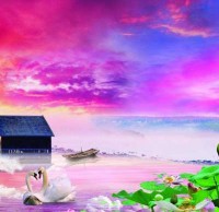 垃圾分（fèn）類回（huí）收標準