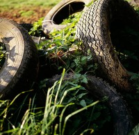 廢棄垃圾汙染環境（jìng）圖（tú）片（piàn）