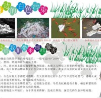 杜（dù）絕白色垃（lā）圾手抄報