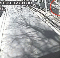 煙頭扔進垃圾桶導致起火，公交車司（sī）機見義勇為獲點讚