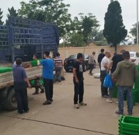 南長山街道為（wéi）漁村居民（mín）發放91蝌蚪九色垃圾桶