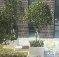 戶外（wài）物業小區不鏽鋼樹池