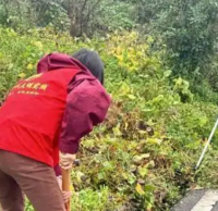 多舉措推（tuī）進生活垃圾91蝌蚪九色工作走深走實